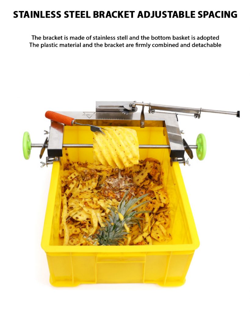 Pineapple cutting (PC) SGE Singapore